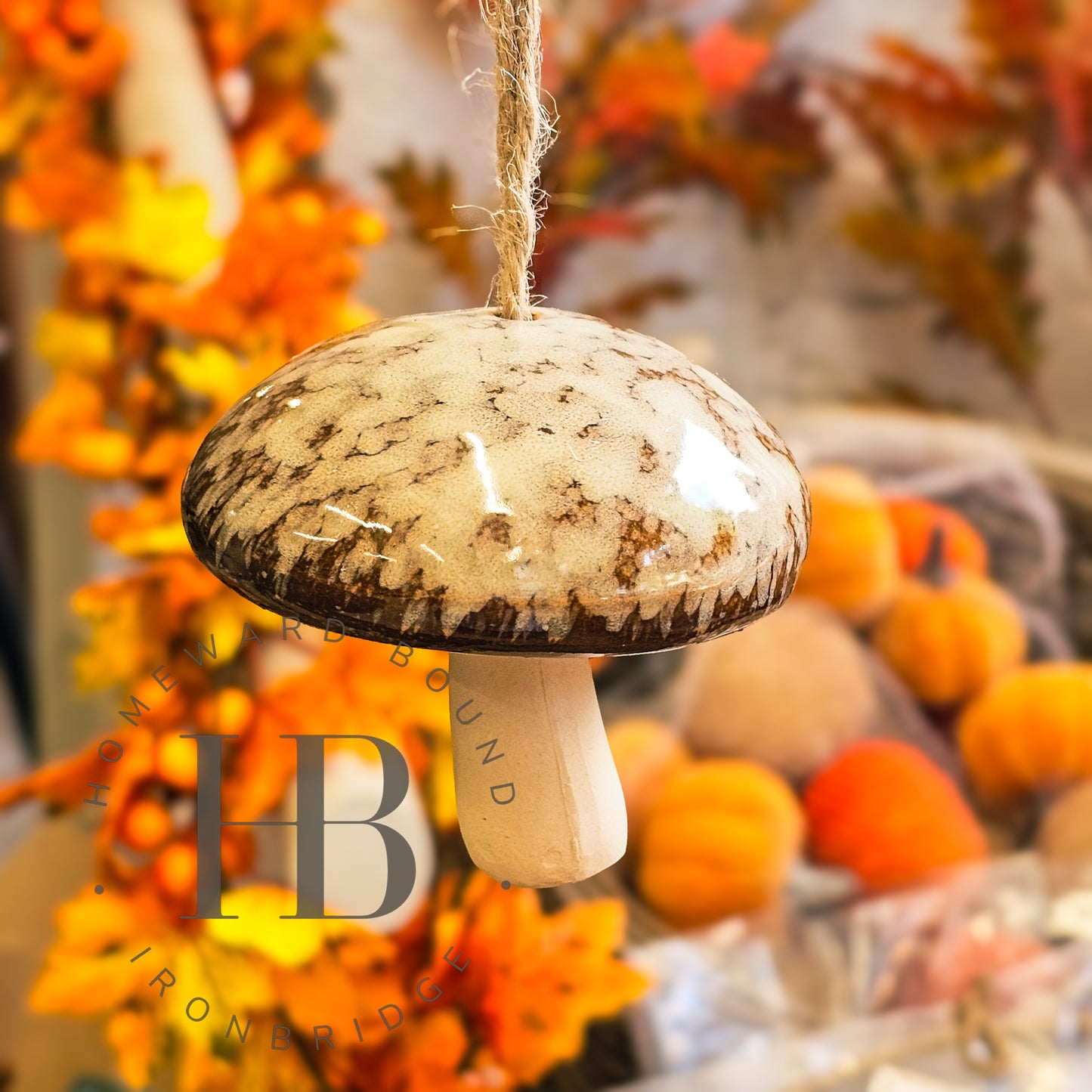Glazed Hanging Mushroom's