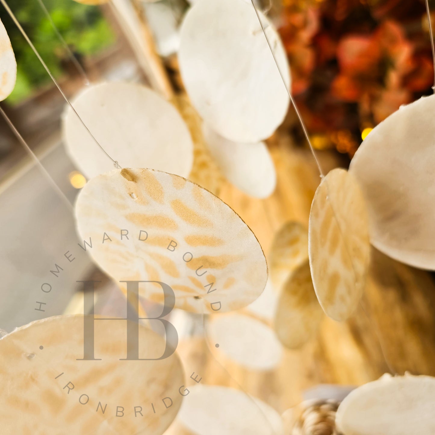 Capiz Hanging Windchime