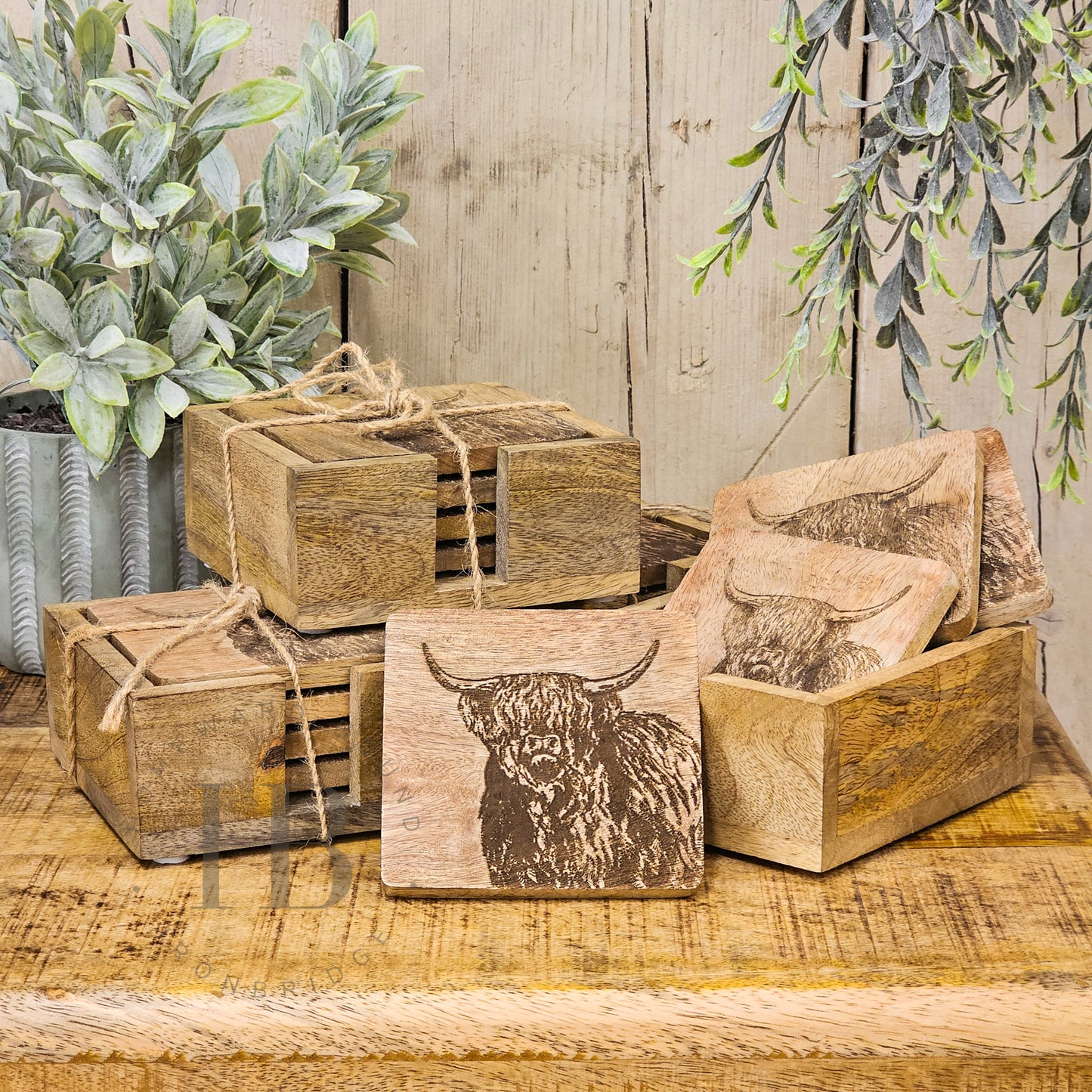Highland Cow Coasters in Holder