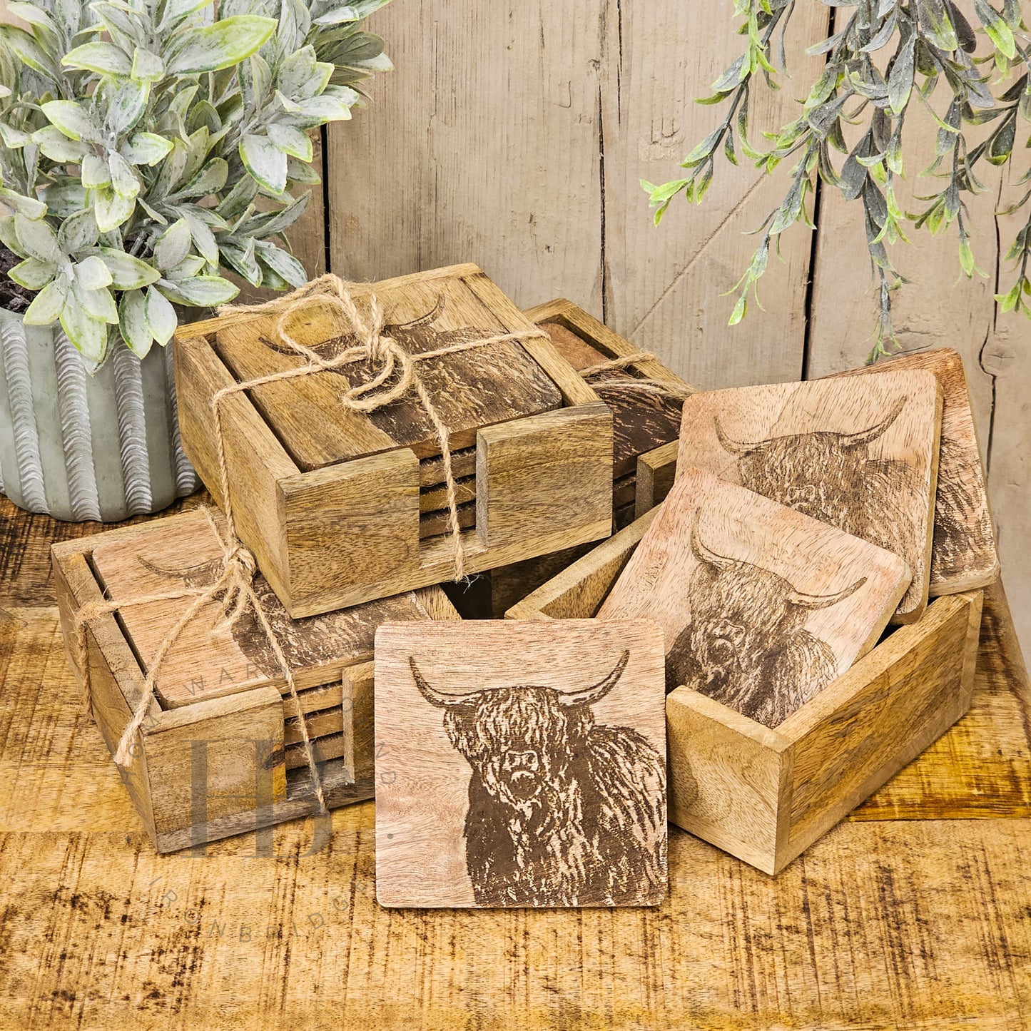 Highland Cow Coasters in Holder