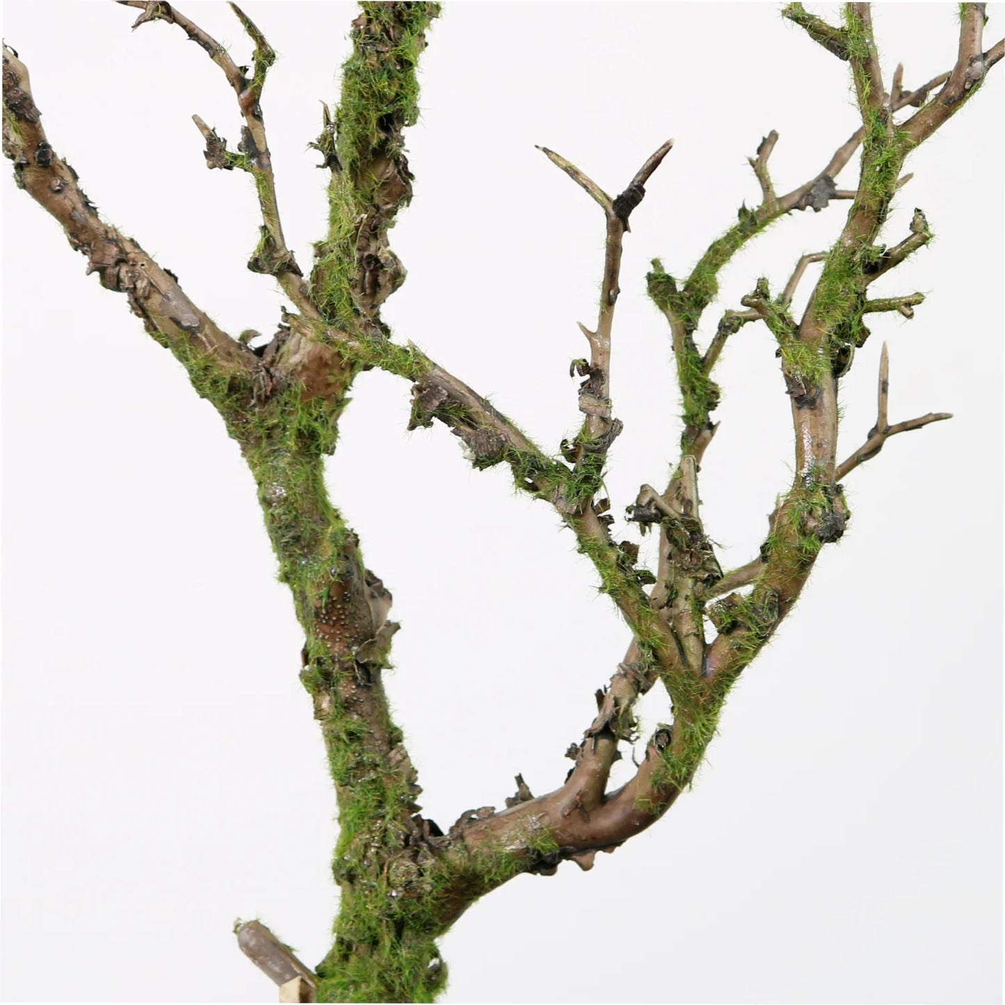 Wildwood Branch 70cm - Mossy