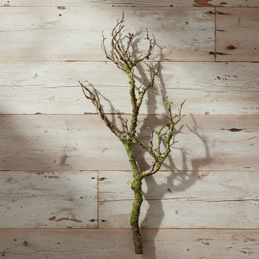 Wildwood Branch 70cm - Mossy