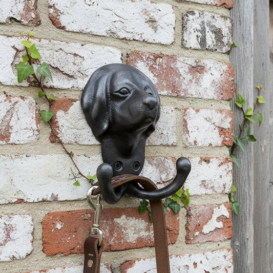 Cast Iron dog head hook with two hooks set on a brick wall hanging a dog lead. 
