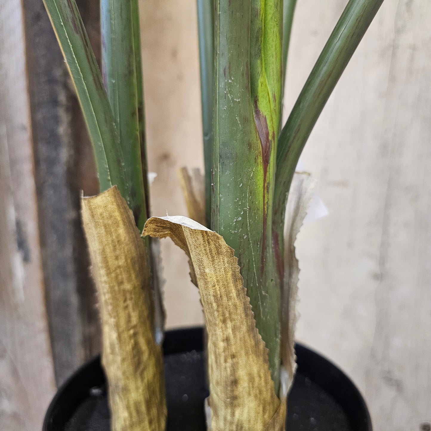 Artificial Strelitzia Palm Tree