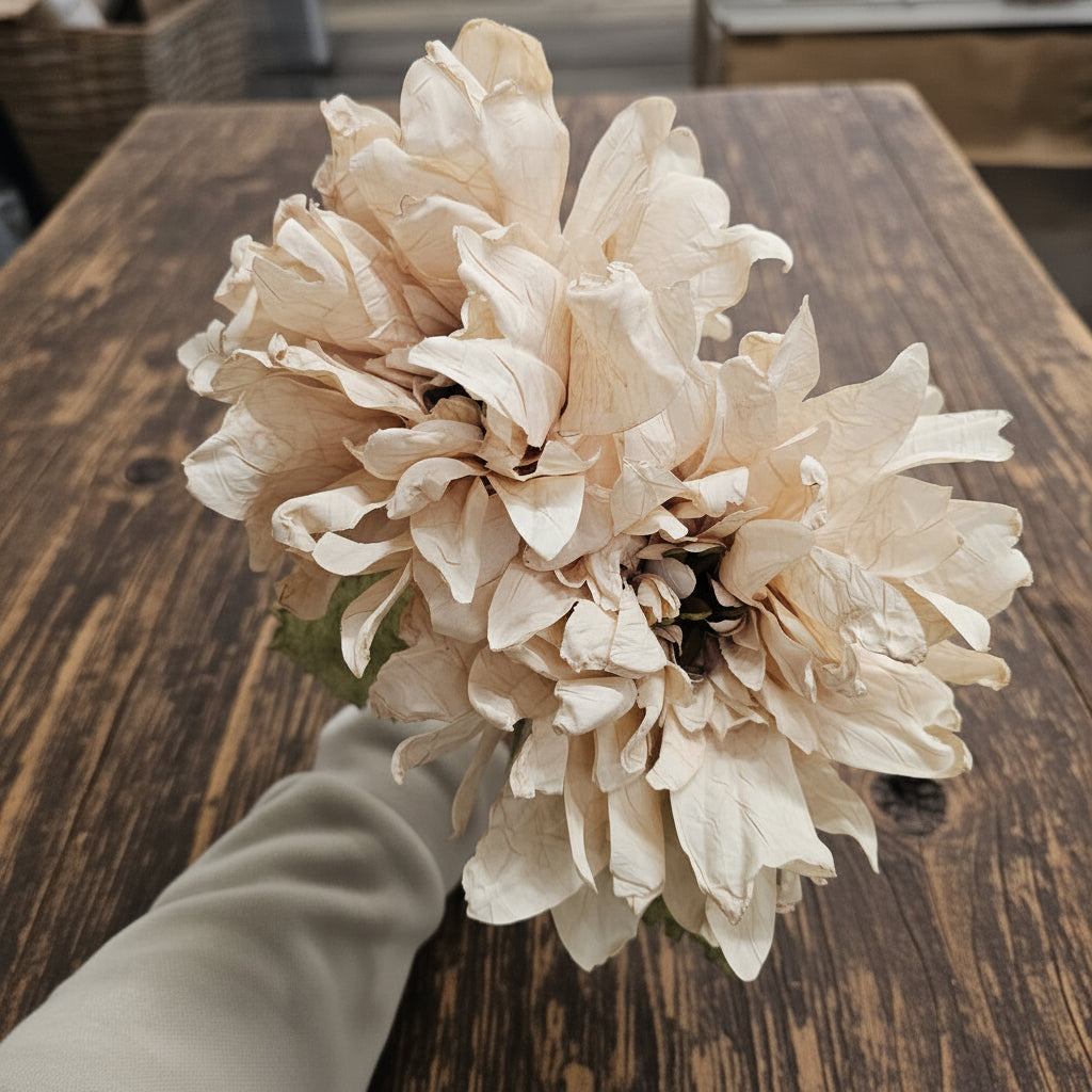 Dried Touch Ruffled Dahlia