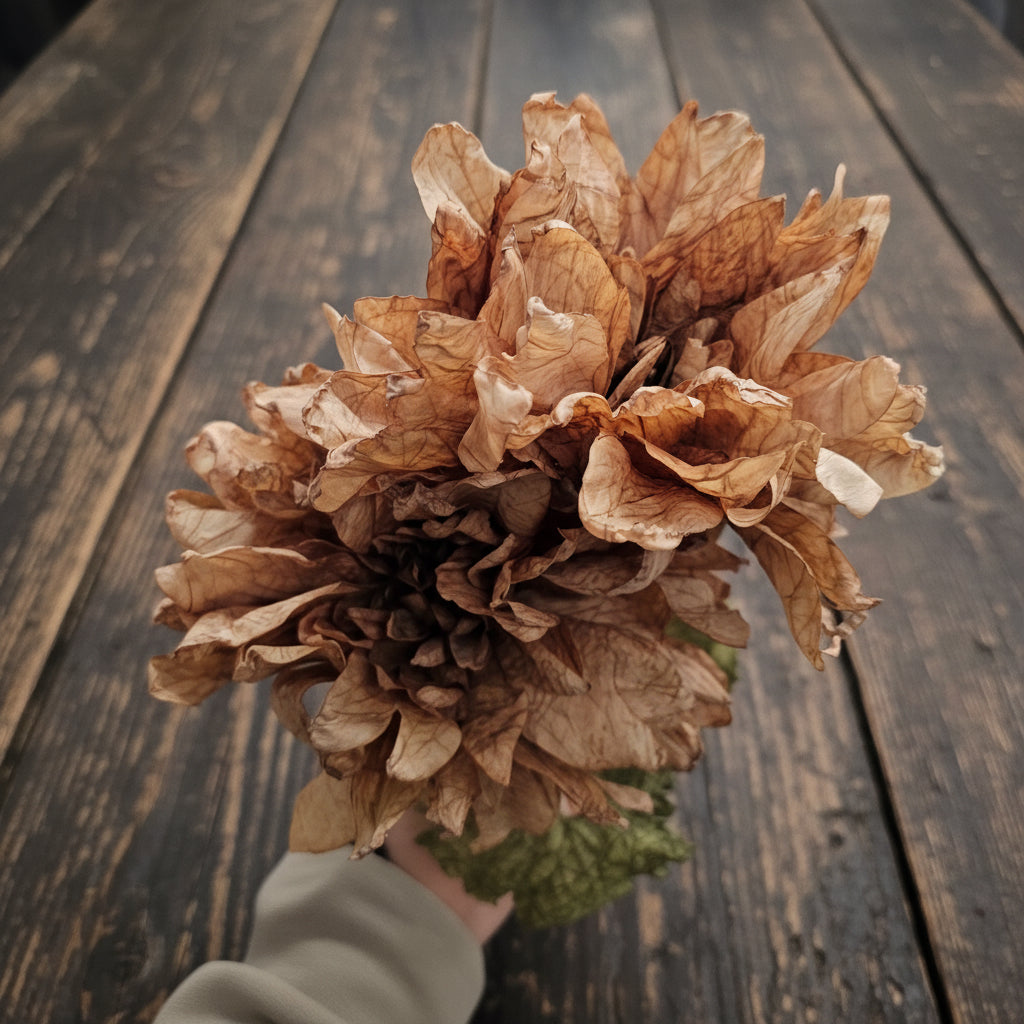 Dried Touch Ruffled Dahlia