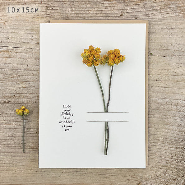 Happy Birthday - Greeting Card