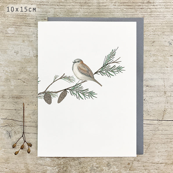 Sparrow on Branch - Greeting Card
