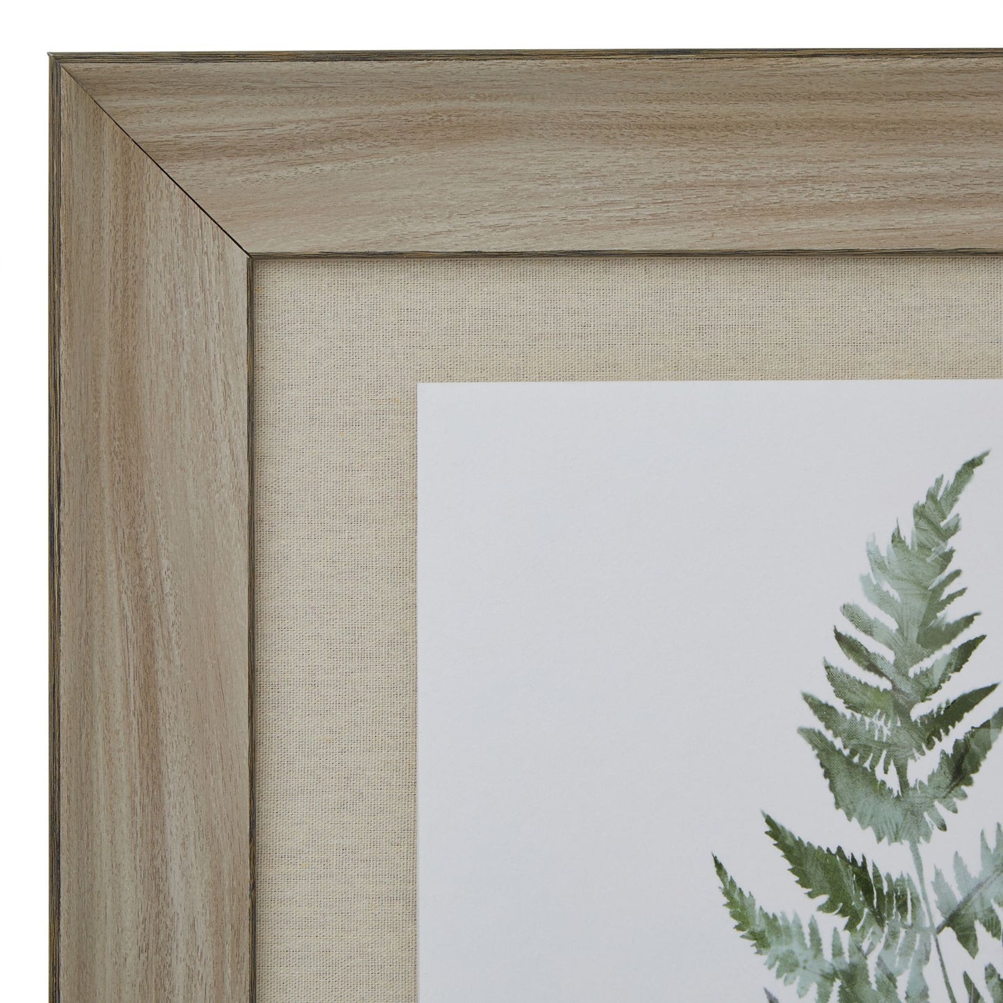 Watercolour Bracken Fern in Frame