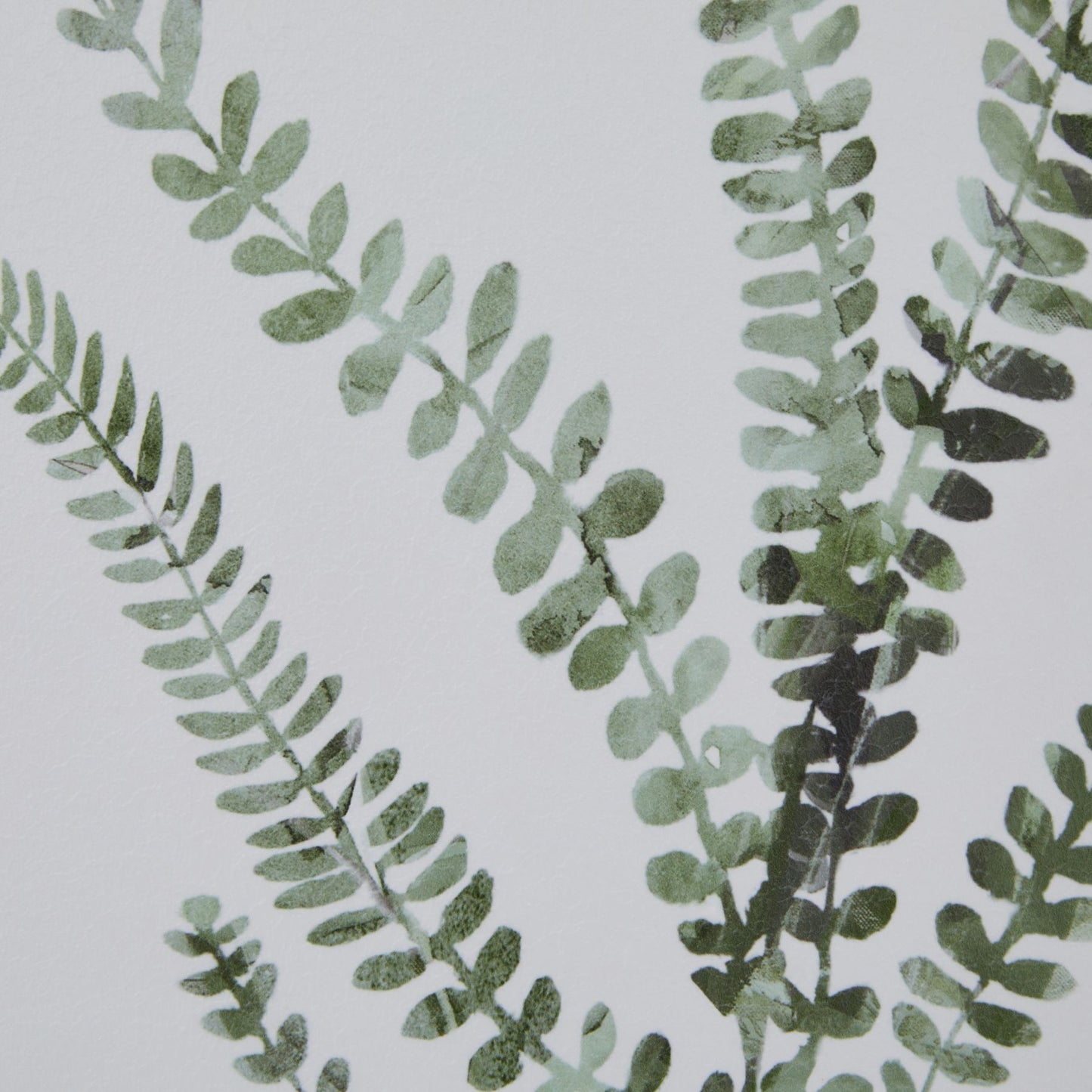 Watercolour Delicate Fern in Frame