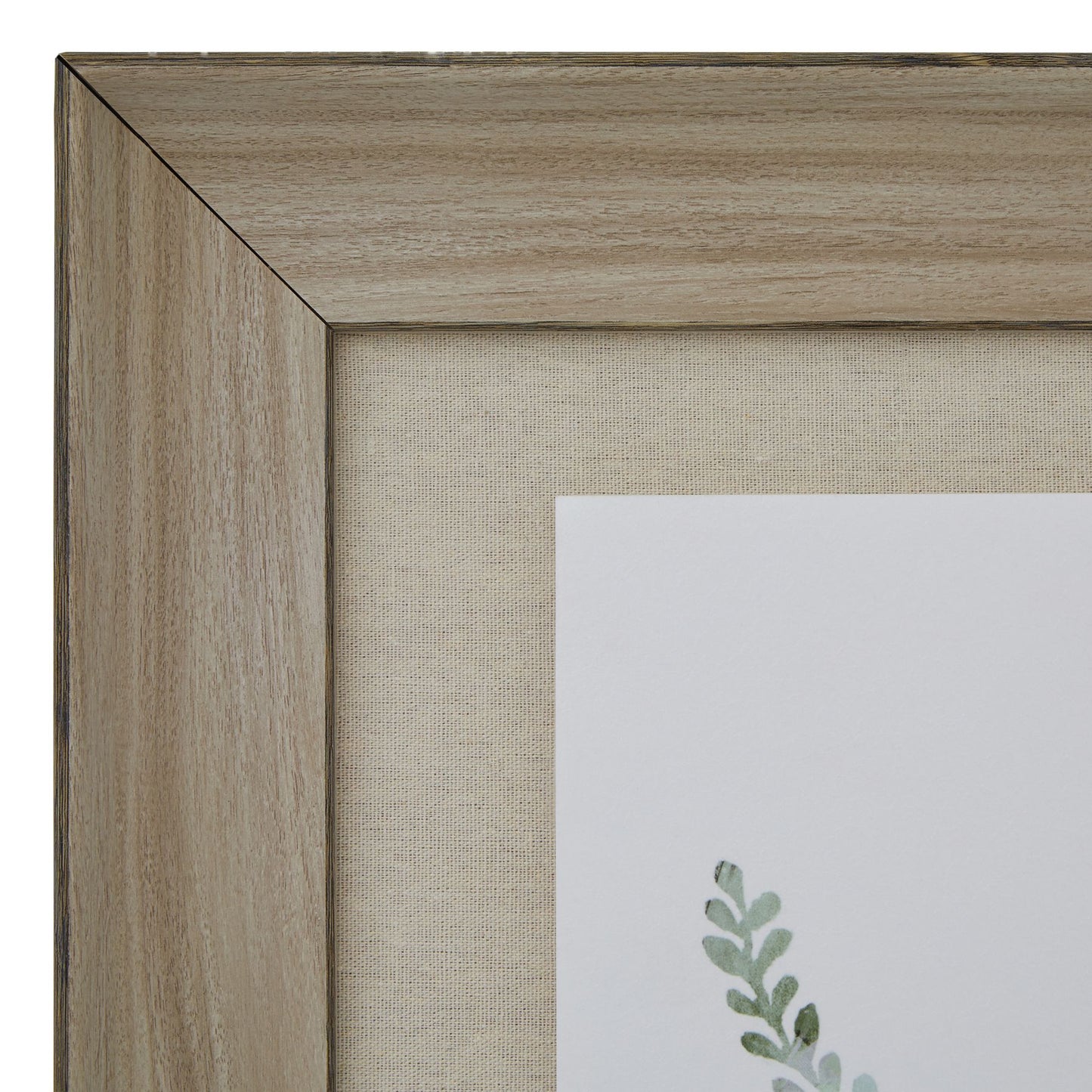 Watercolour Delicate Fern in Frame