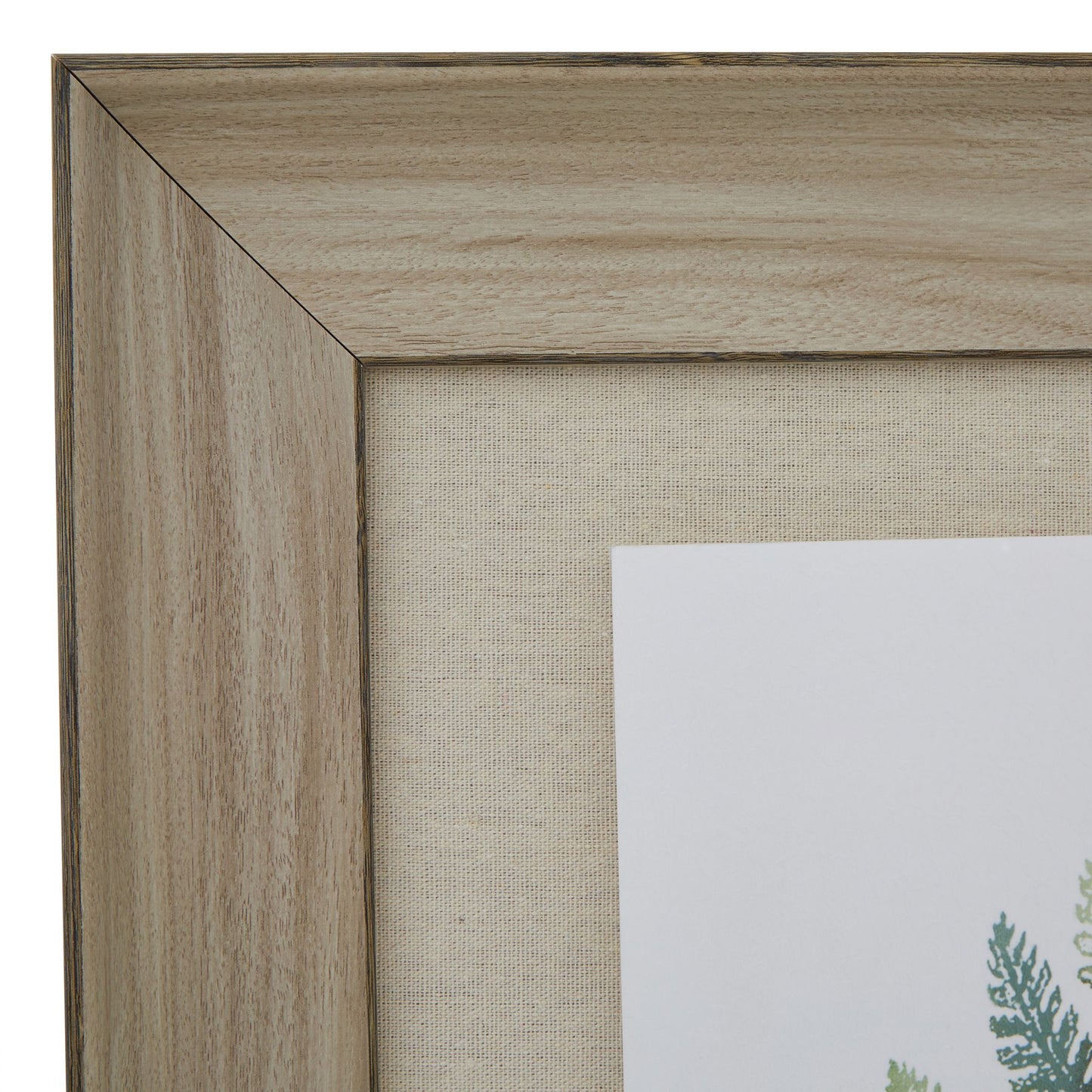 Watercolour Fern Duo in Frame
