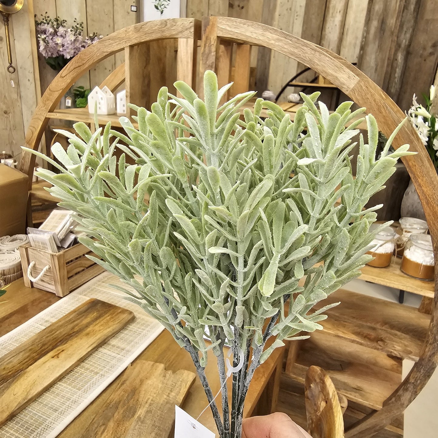 Flocked French Tarragon Spring