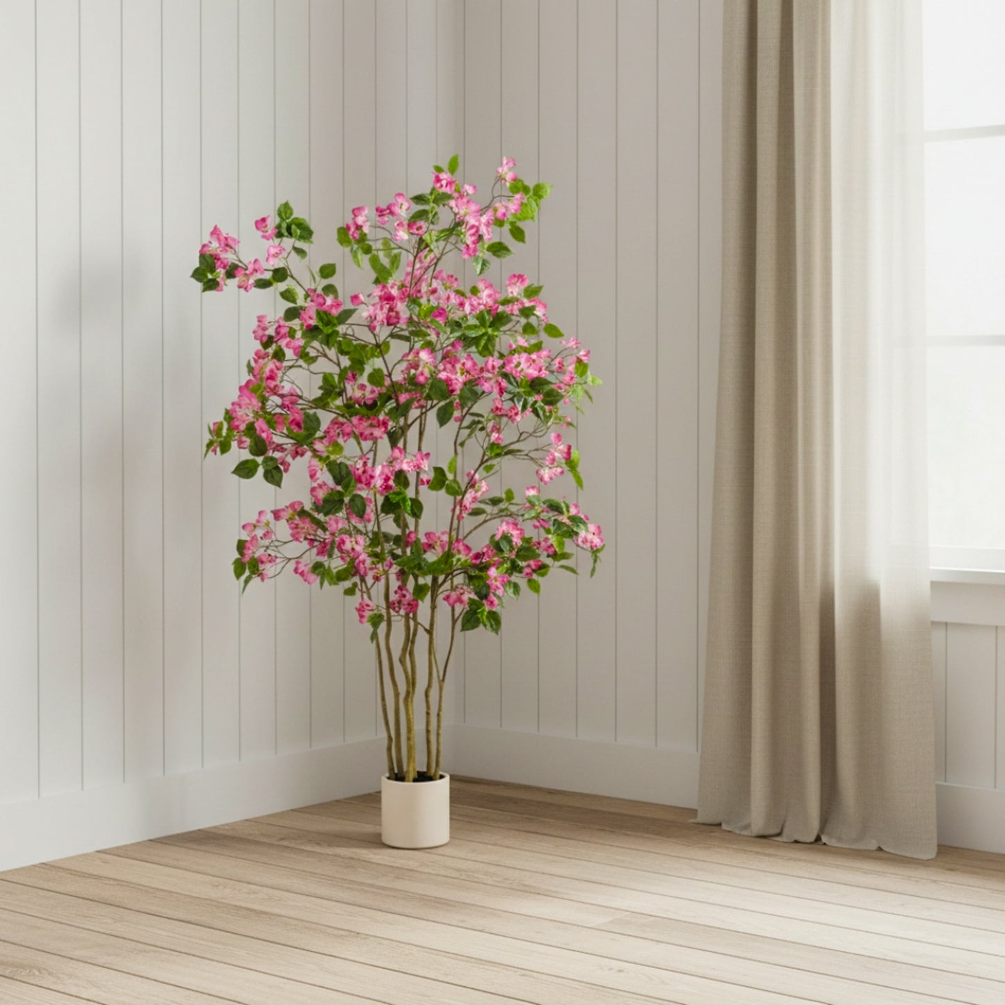 Wild Bougainvillea Tree - 170cm