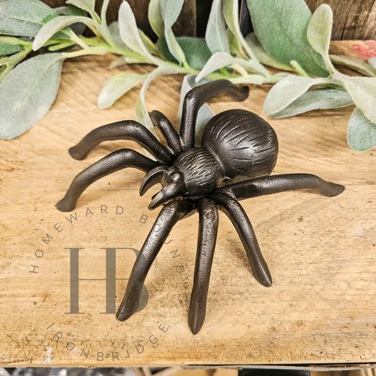 Large Cast Iron Spider