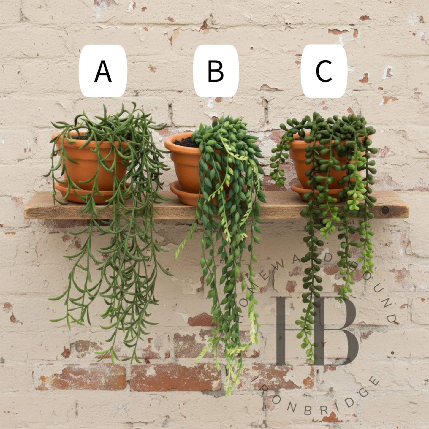 Artificial Trailing Plant in Terracotta Pot