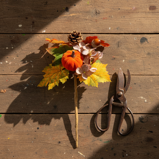 Autumn Pumpkin Acorn Pic
