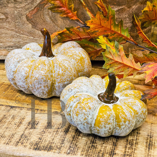 Ceramic Speckle Glazed Squat Pumpkins