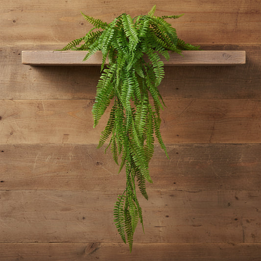 106cm Trailing Green Fern