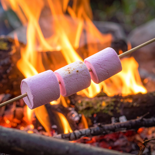 Toasted Marshmallow Mini Wax Melt